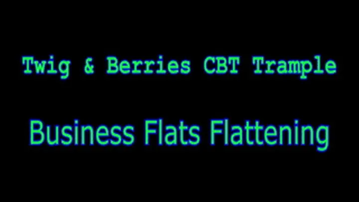 Business Flats Flattening