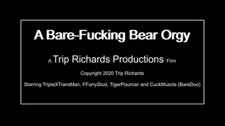 Bare-Fucking Bear Orgy, Creampie 4-way