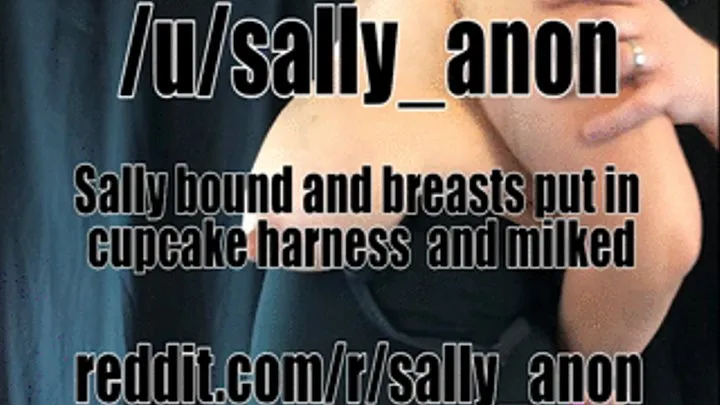 Sally bound and breasts put in cupcake harness and milked