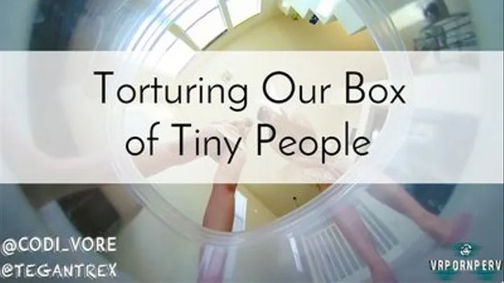 Tormenting our Tiny People POV - Giantess Vore