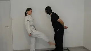 Part two of Painful Karate Kicks V