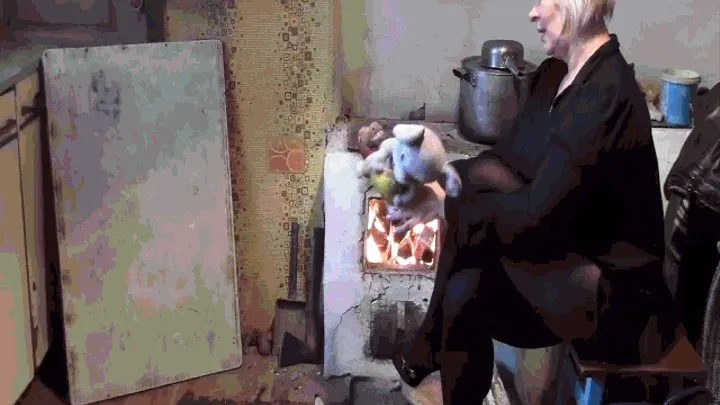 Order. Plush toys in an old stove