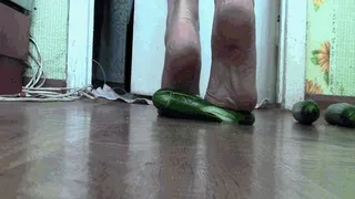 Conclusion of cucumbers