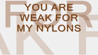 You Are So Weak for My Nylons