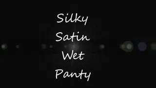 SILKY SATIN WET PANTY