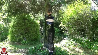Wrapped to a tree