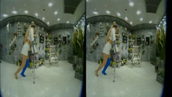 3D-VR Double cast legs in Flower Shop Part 1 (LCL)