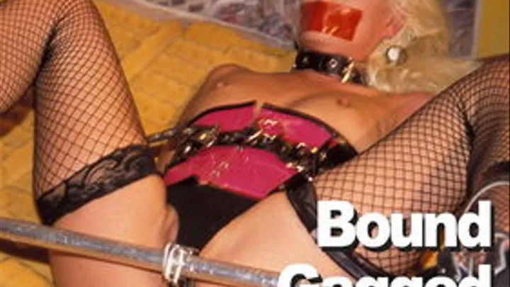 Cindy Crawford & Missy Monroe & Dirty Harry : Bound Gagged Three-Hole Fucked