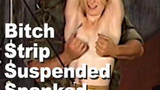 Adora & Master Len : Bitch Strip Suspended Spanked