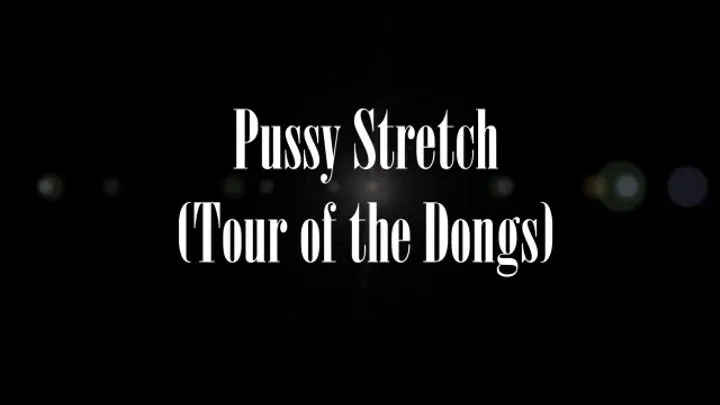 Pussy Stretching Tour of Dongs
