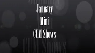 January 2017 Mini Cumshows