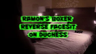 Ramon's Boxer Reverse Facesit on Duchess!