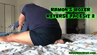 Ramon's Boxer Reverse Facesit 2!