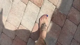 Kittys Feet Go For A Swim