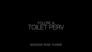 You're A Toilet Perv