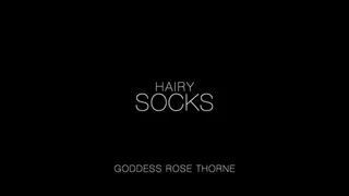 Hairy Socks