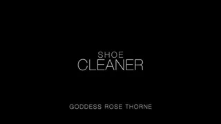 Shoe Cleaner