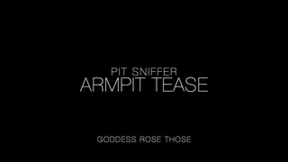 Pit Sniffer Armpit Tease