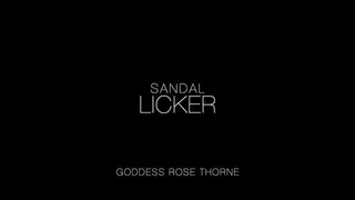Sandal Licker