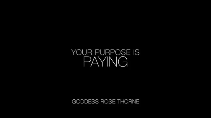 Your Purpose Is Paying