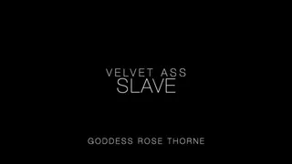 Velvet Ass Slave