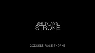 Shiny Ass Stroke