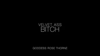 Velvet Ass Bitch