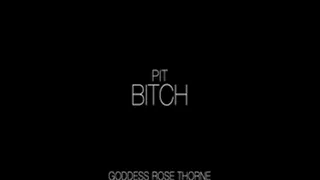 Pit Bitch