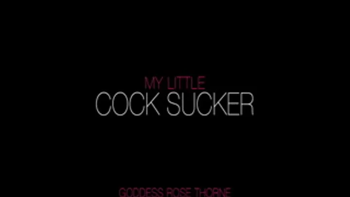 My Cock Sucker