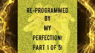 Re-Programmed by my Perfection (Part 1 of 5)