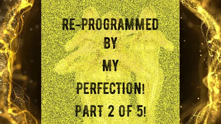 Re-Programmed by my Perfection (Part 2 of 5)