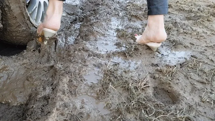 Mudstuck: Muddy mules