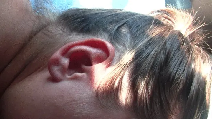 Foam in the ear