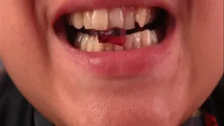 Chewing bears with sharp teeth