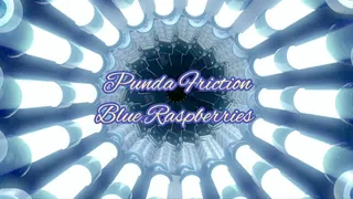Punda Friction Blue Raspberries