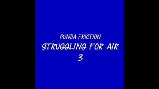 Punda Friction Struggling for Air 3