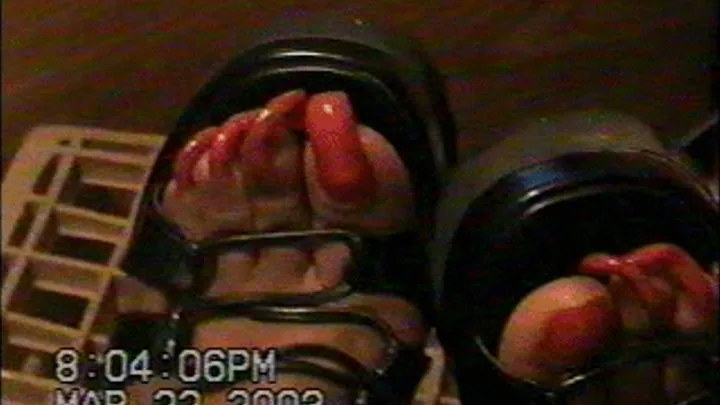 Lovely Bare Ebony Feet with Toenails Long Like Claws III