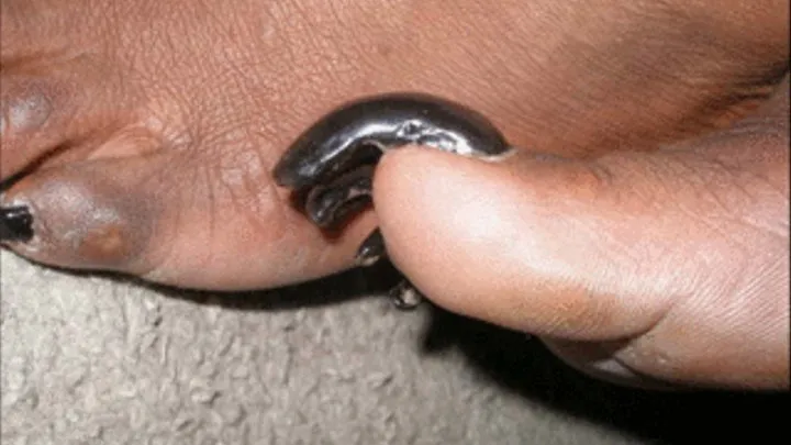 Nice Interactive slide Show of Queen Virginia's Toenails "Painted Black" with Virginia Talking X Rated