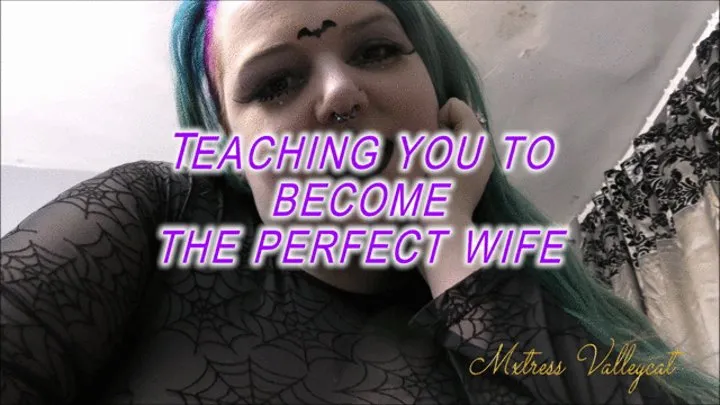 teaching you to be the perfect wife