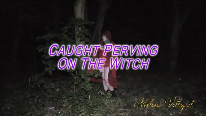 Caught Perving on the Witch