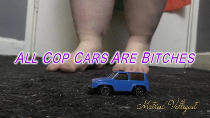 All Cop Cars Are Bitches