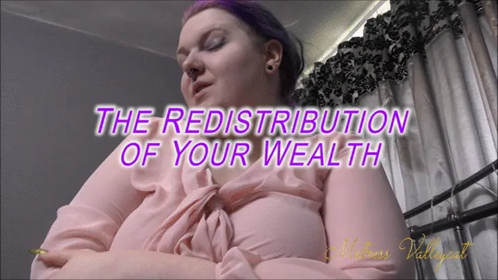 the redistribution of your wealth