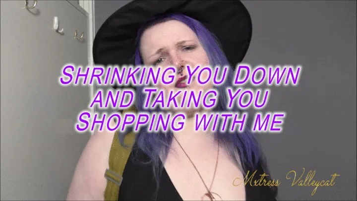 Shrinking You Down and Taking You Shopping with me