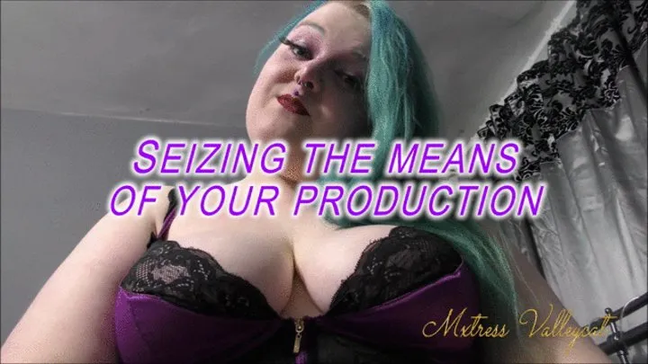 Seizing the means of your Production