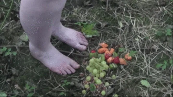 Rice and Berries in the Woods