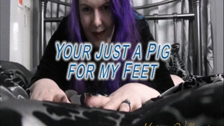 You're just a pig for my Feet