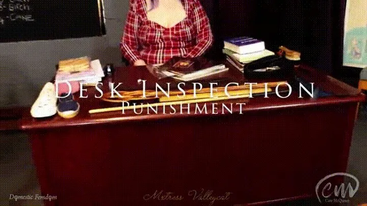 Desk Inspection Punishment