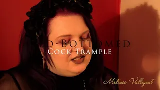 Red-Bottomed Cock Trample