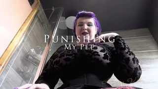 Punishing My Pet