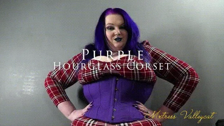 Purple Hourglass Corset